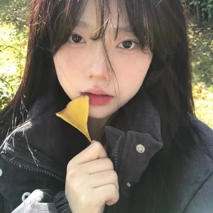 游击恋爱